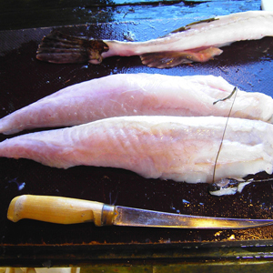 Zeeduivel losse filets